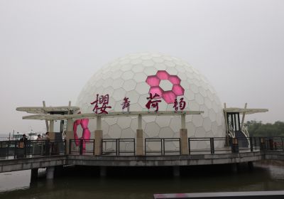 球幕動感影院—黿頭渚風景區